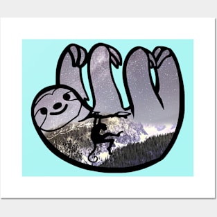 mammal sloth slow animal Posters and Art